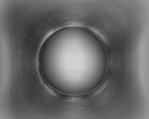 X0000112141375200908071047