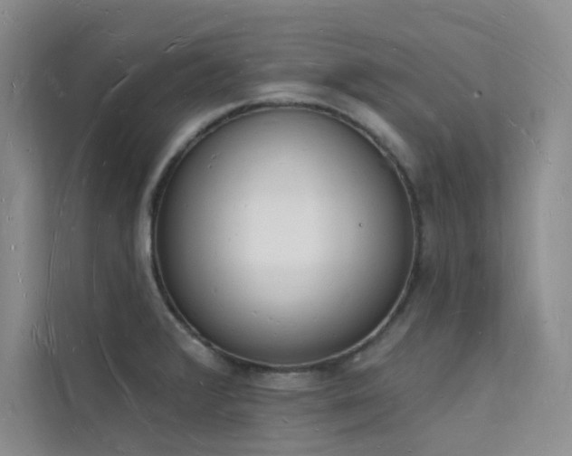 X0000112141376200908071047