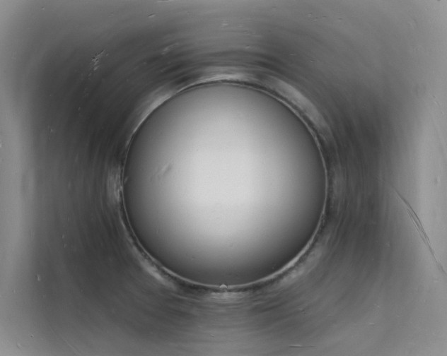 X0000112141377200908071047
