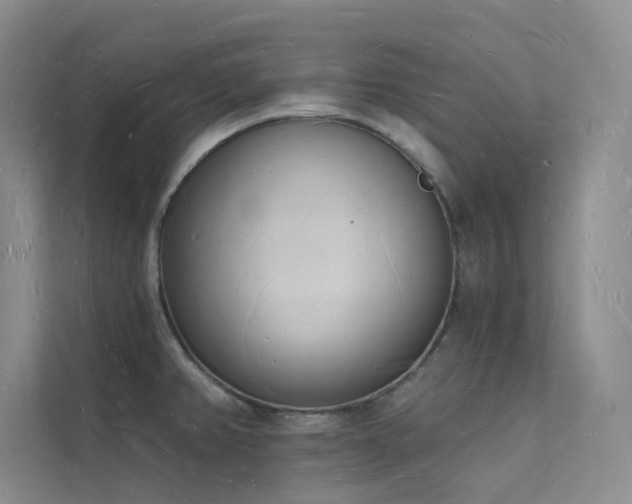 X0000112141382200908071047