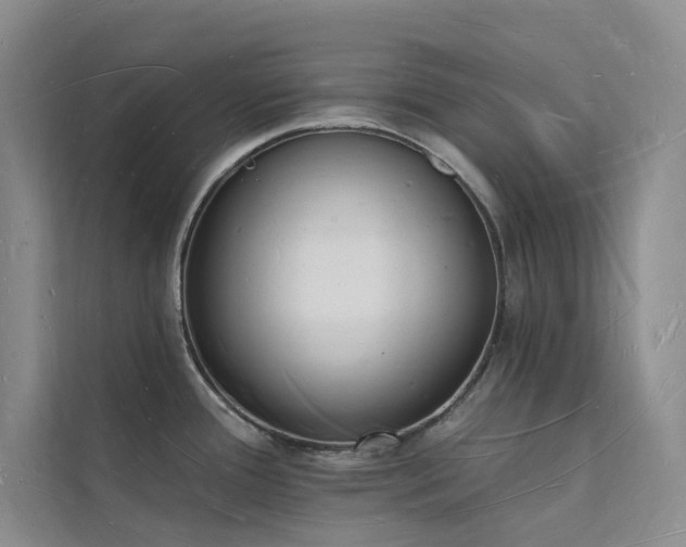 X0000112141388200908071047