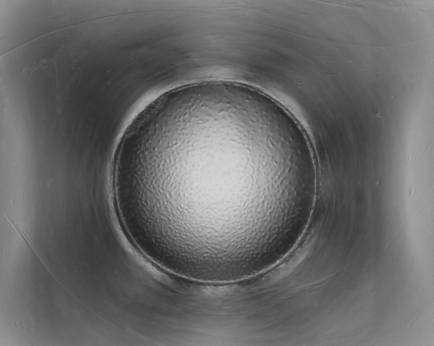 X0000112141389200908071047