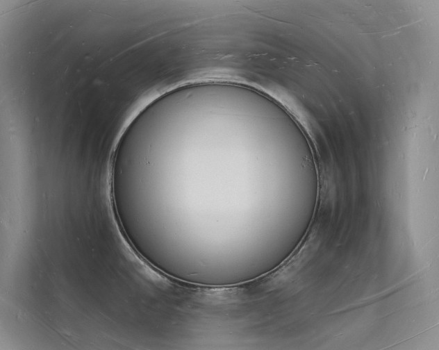 X0000112141390200908071047