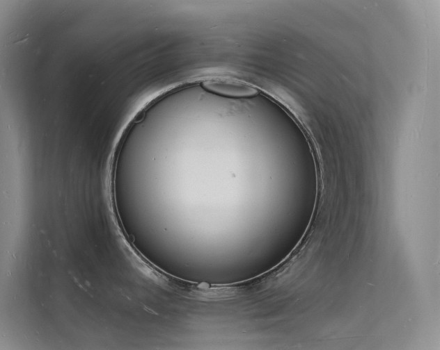 X0000112141392200908071047