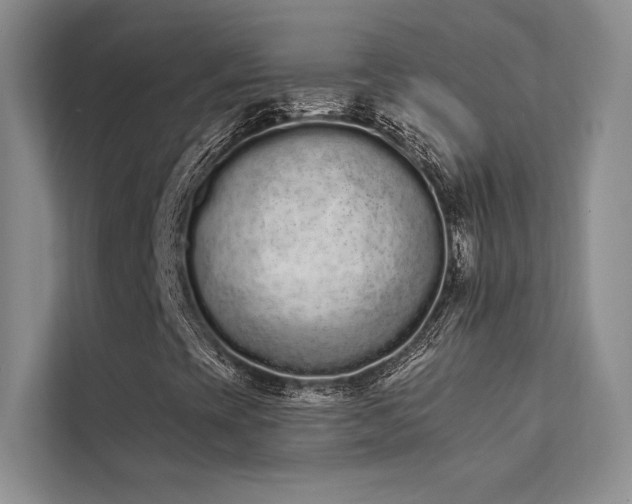 X0000112141393200908071046