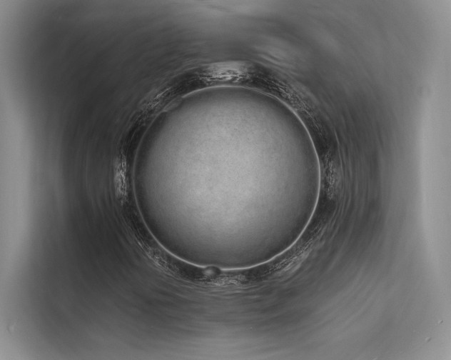 X0000112141394200908071046