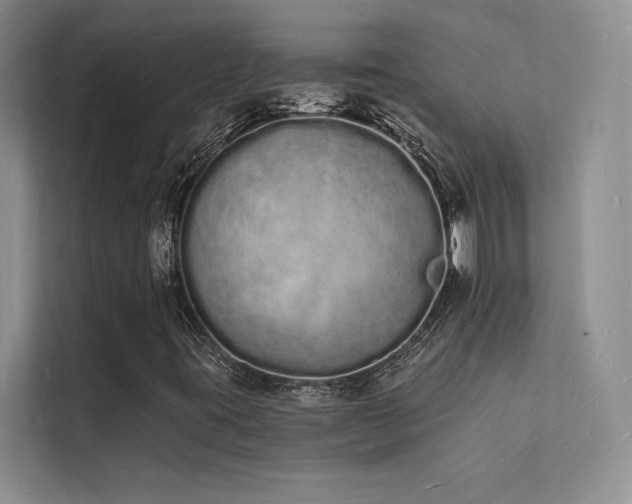 X0000112141395200908071046