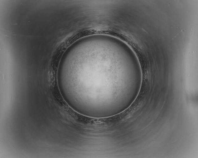 X0000112141398200908071046
