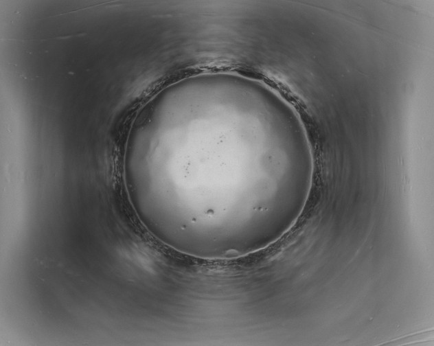 X0000112141399200908071046