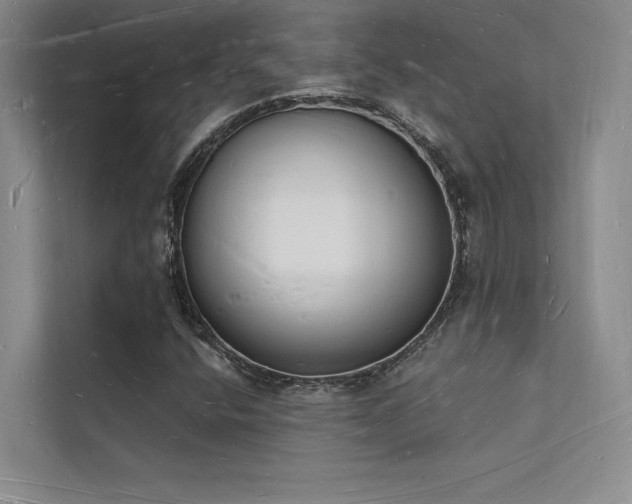 X0000112141400200908071046
