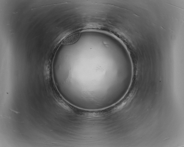 X0000112141401200908071046