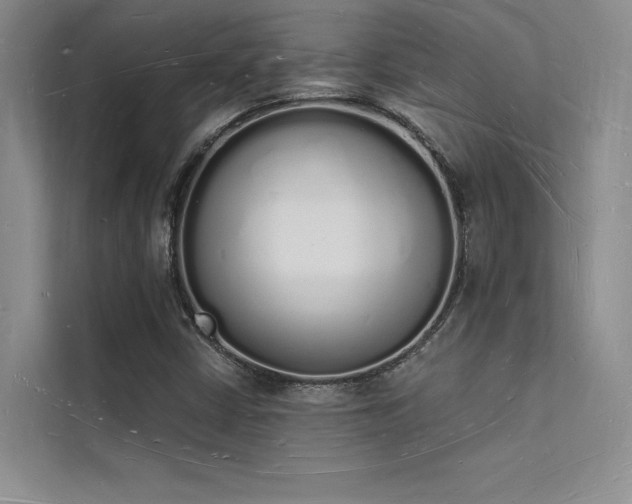 X0000112141402200908071046