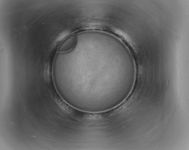 X0000112141403200908071046