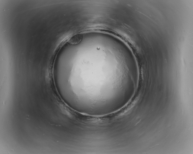 X0000112141405200908071046