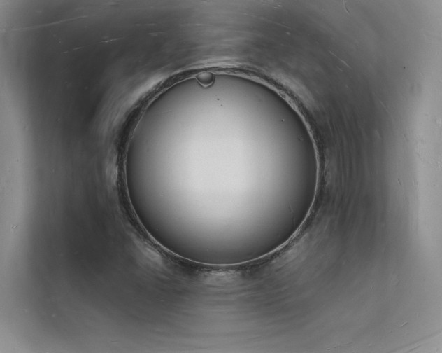 X0000112141406200908071046