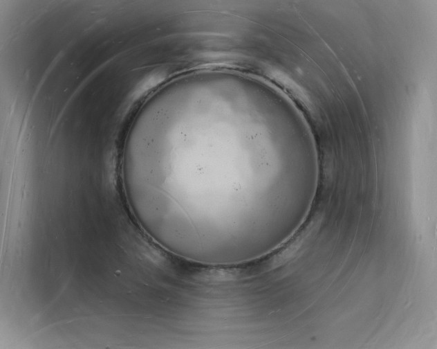 X0000112141411200908071046