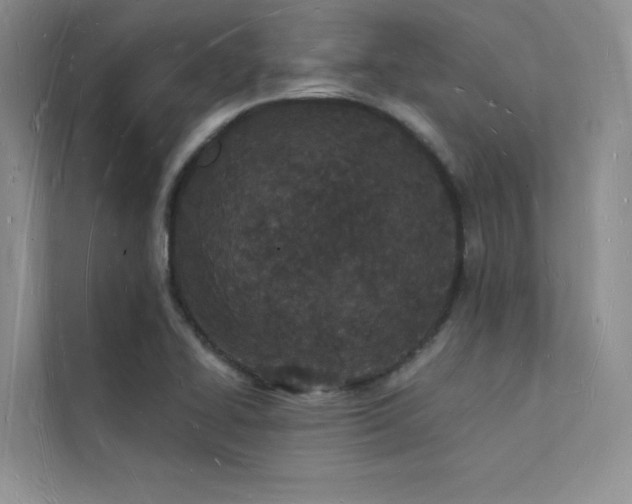 X0000112141414200908071047