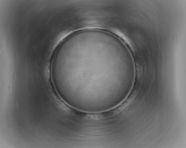 X0000112141415200908071047