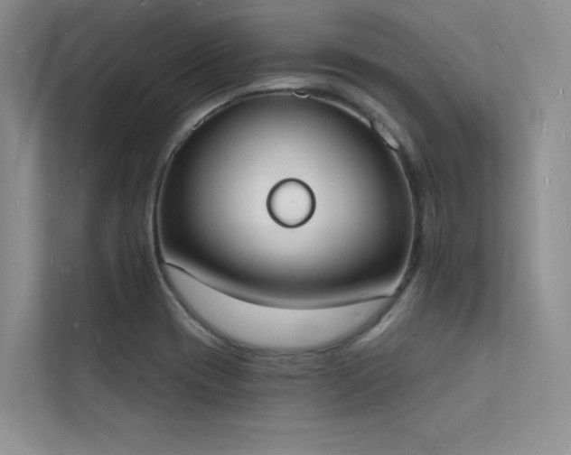 X0000112141417200908071047