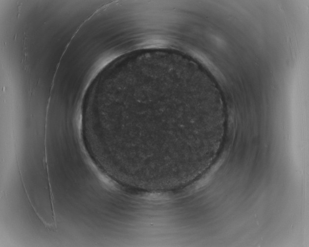 X0000112141418200908071047
