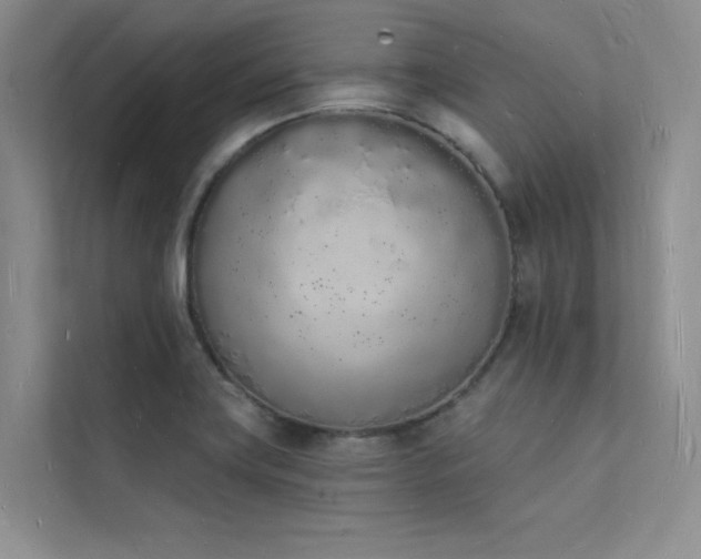 X0000112141419200908071047