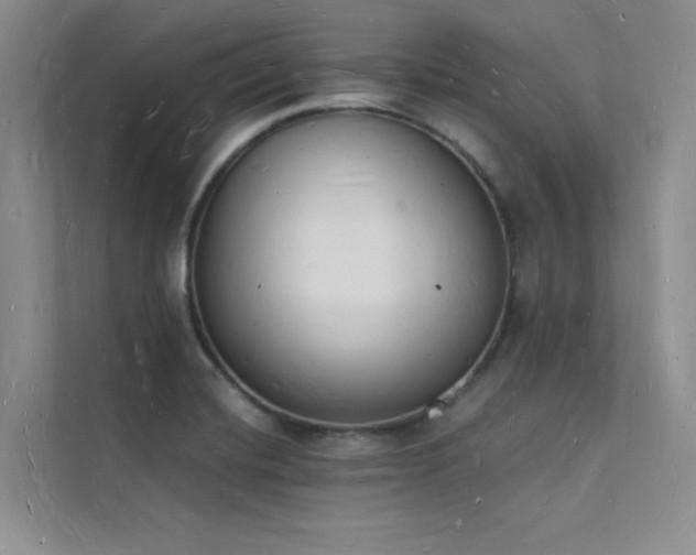 X0000112141420200908071047