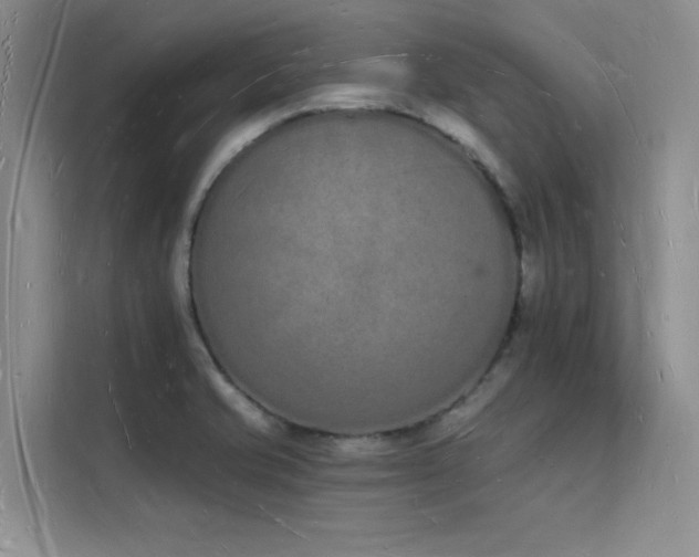 X0000112141421200908071047