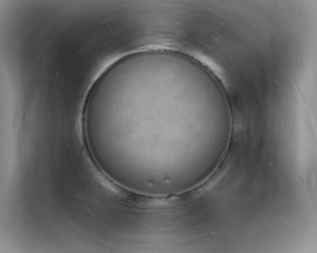 X0000112141423200908071047