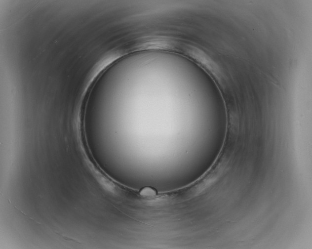 X0000112141426200908071047
