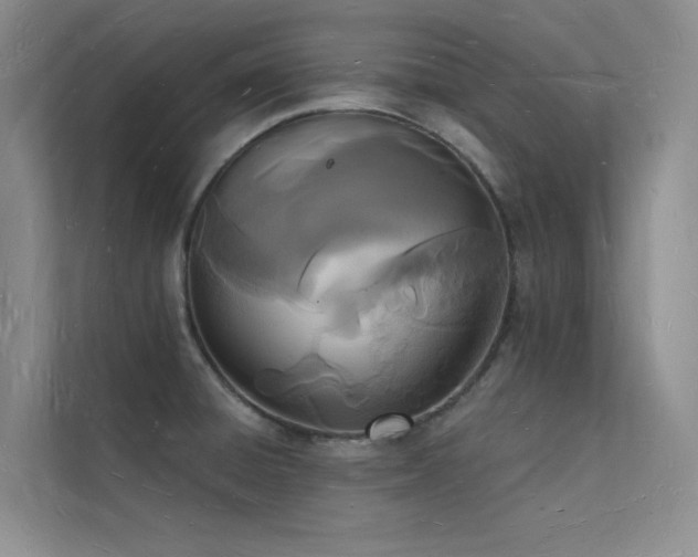 X0000112141428200908071047