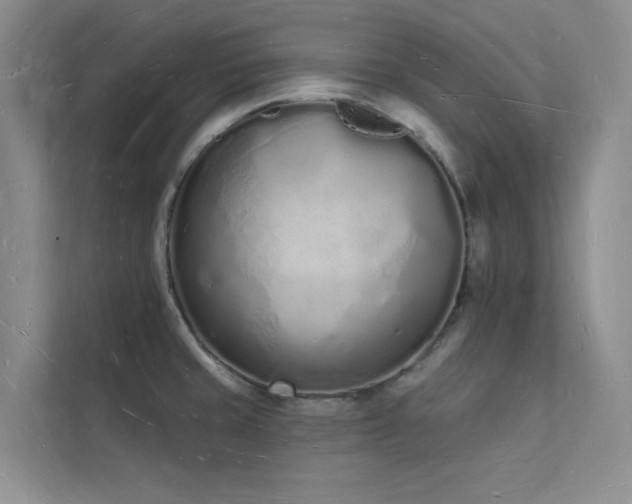 X0000112141429200908071047