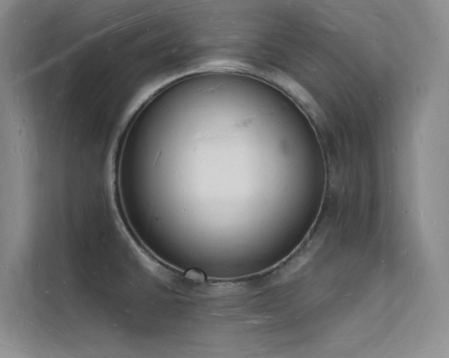 X0000112141430200908071047