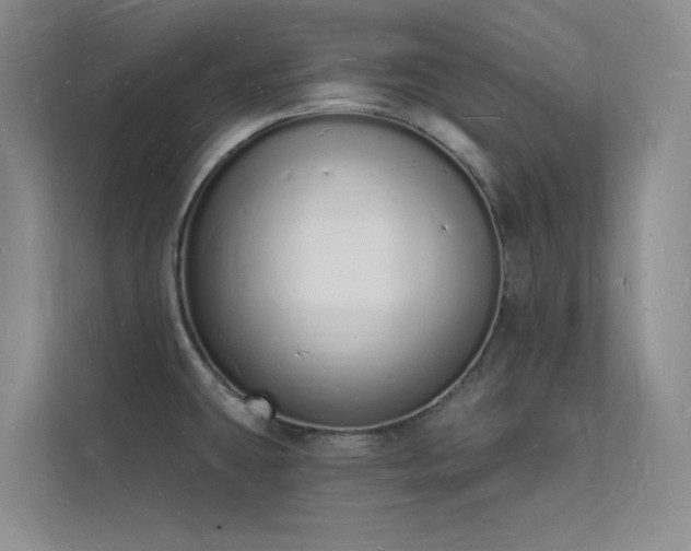 X0000112141431200908071047