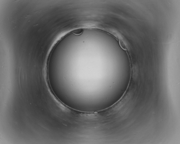 X0000112141432200908071047