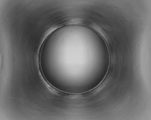 X0000112141434200908071047