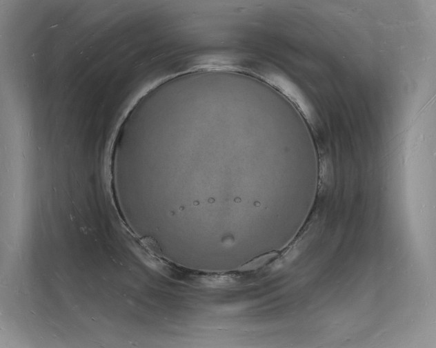 X0000112141435200908071047