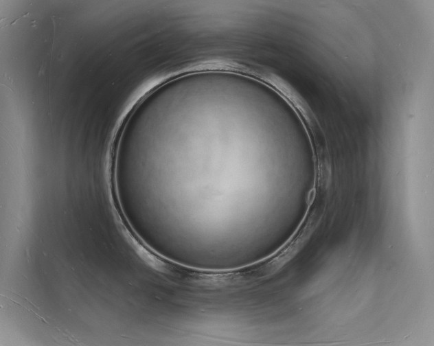 X0000112141438200908071047