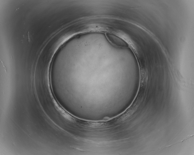 X0000112141439200908071047