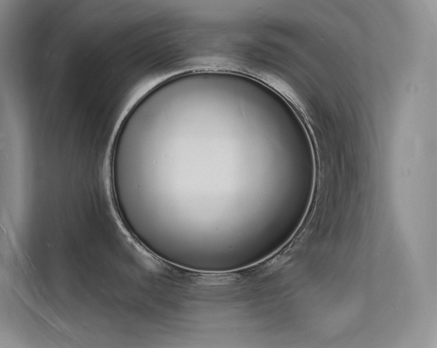 X0000112141440200908071047
