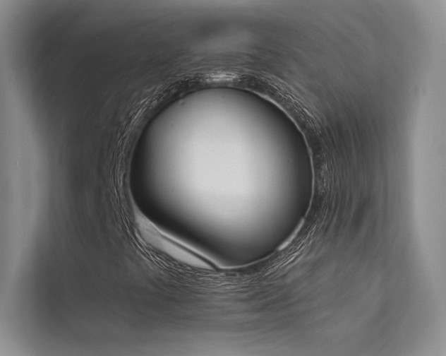 X0000112141441200908071046