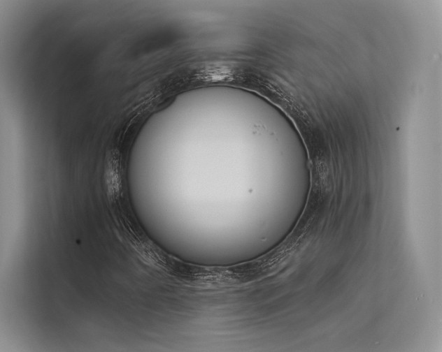 X0000112141442200908071046