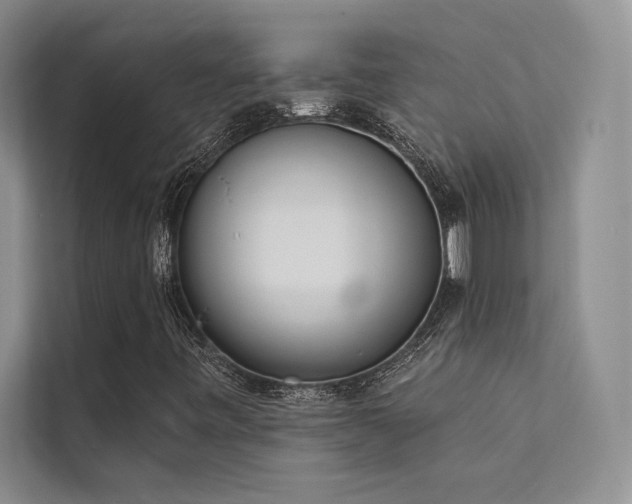 X0000112141443200908071046