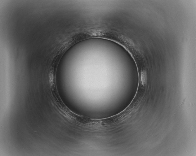 X0000112141444200908071046