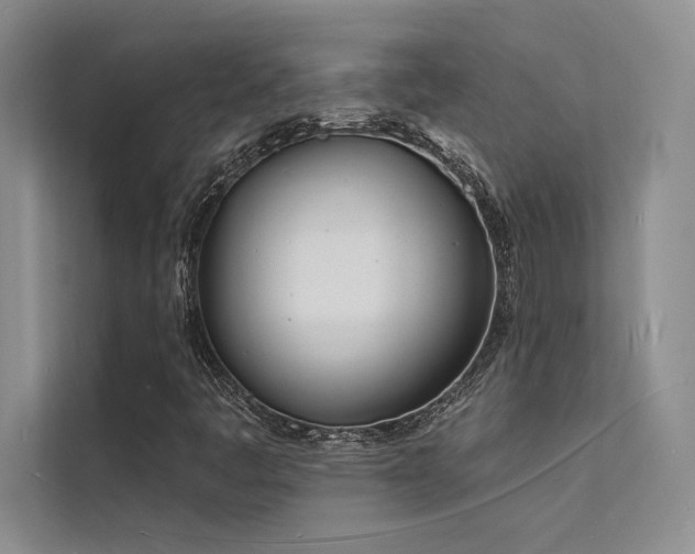 X0000112141445200908071046