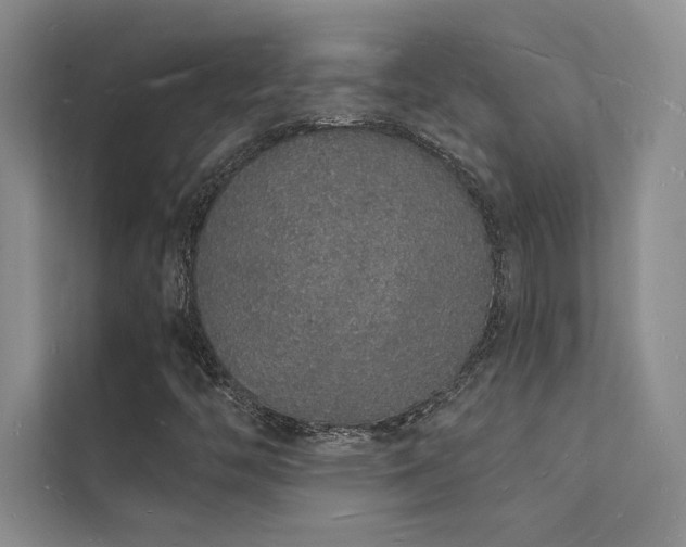 X0000112141446200908071046