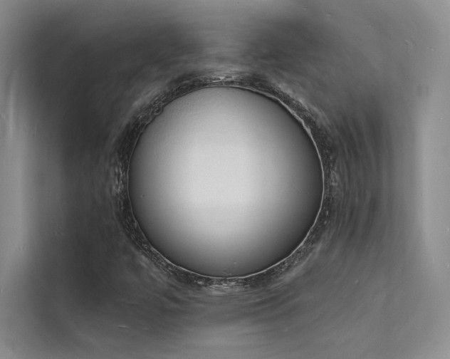 X0000112141447200908071046