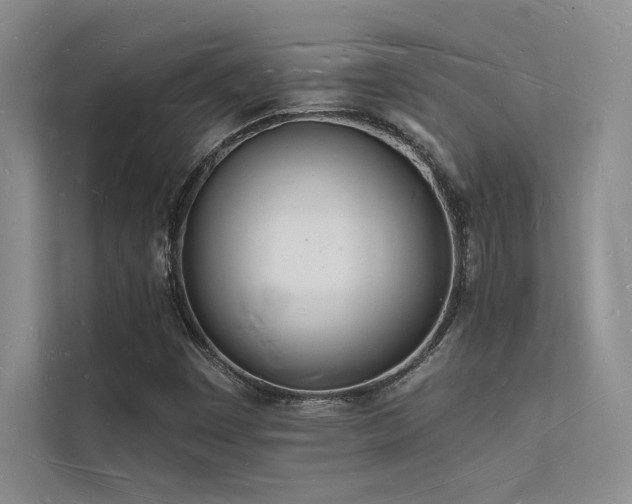 X0000112141449200908071046