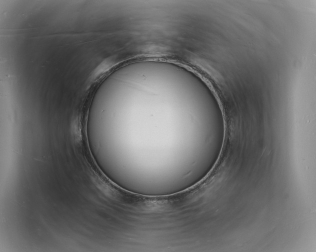 X0000112141451200908071046