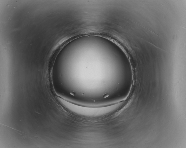 X0000112141453200908071046