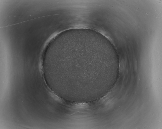 X0000112141454200908071046